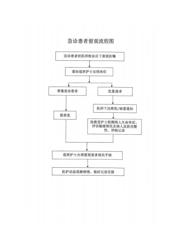 服務流程、急診留觀流程.jpg